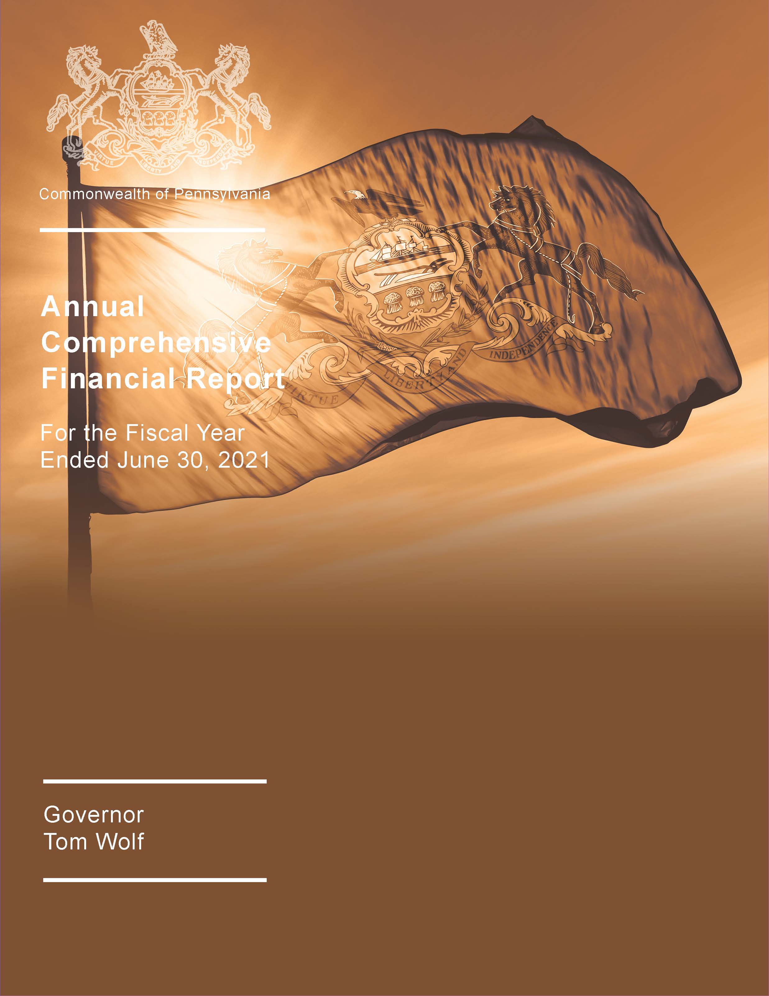 link to Comprehensive Annual Financial Report (CAFR) for the Fiscal Year Ended June 30, 2021 pdf